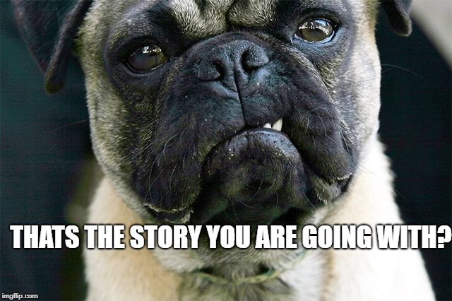 THATS THE STORY YOU ARE GOING WITH? | made w/ Imgflip meme maker