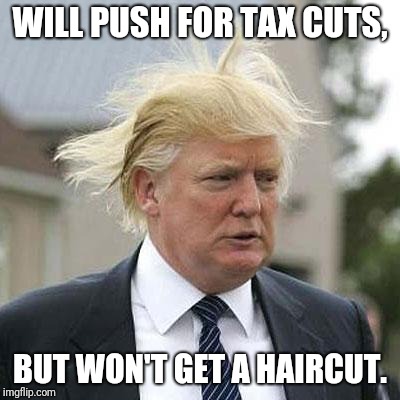 Donald Trump | WILL PUSH FOR TAX CUTS, BUT WON'T GET A HAIRCUT. | image tagged in donald trump,funny memes,memes | made w/ Imgflip meme maker