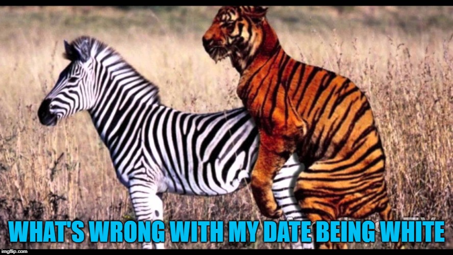 WHAT'S WRONG WITH MY DATE BEING WHITE | made w/ Imgflip meme maker