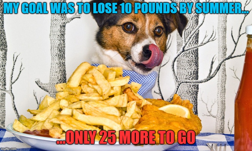 Think I'm Doing Something Wrong Here... | MY GOAL WAS TO LOSE 10 POUNDS BY SUMMER... ...ONLY 25 MORE TO GO | image tagged in dog food,weight gain | made w/ Imgflip meme maker