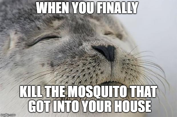 Satisfied Seal Meme | WHEN YOU FINALLY; KILL THE MOSQUITO THAT GOT INTO YOUR HOUSE | image tagged in memes,satisfied seal,AdviceAnimals | made w/ Imgflip meme maker