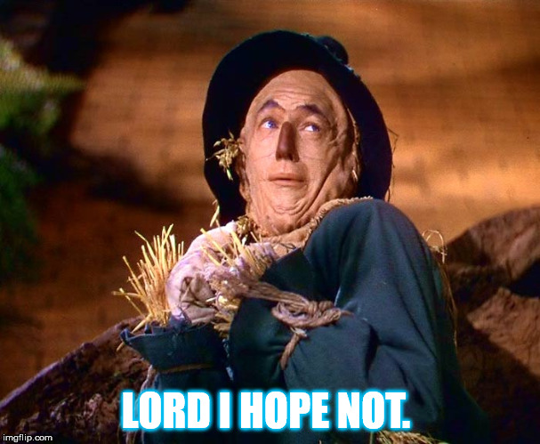 Straw man | LORD I HOPE NOT. | image tagged in straw man | made w/ Imgflip meme maker