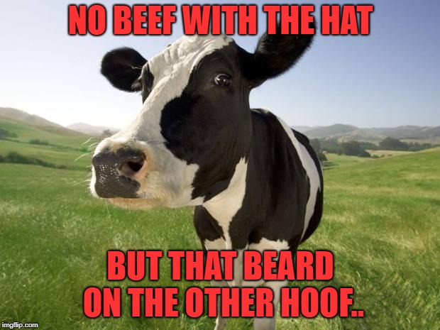 cow | NO BEEF WITH THE HAT BUT THAT BEARD ON THE OTHER HOOF.. | image tagged in cow | made w/ Imgflip meme maker