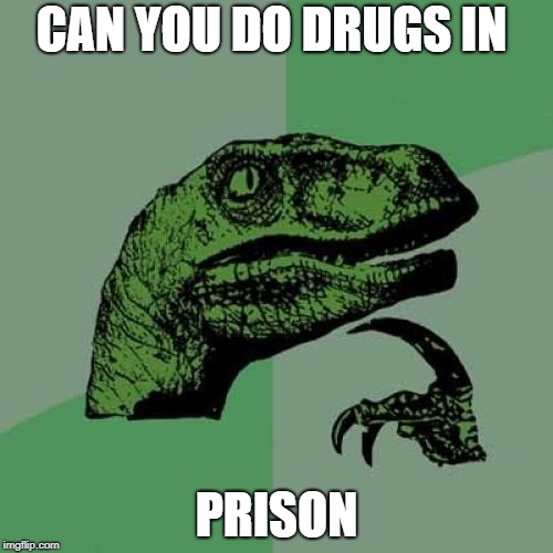 Philosoraptor Meme | CAN YOU DO DRUGS IN; PRISON | image tagged in memes,philosoraptor | made w/ Imgflip meme maker