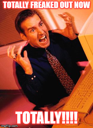 Computer Guy Freaking Out | TOTALLY FREAKED OUT NOW TOTALLY!!!! | image tagged in computer guy freaking out | made w/ Imgflip meme maker
