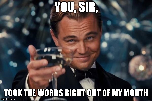 Leonardo Dicaprio Cheers Meme | YOU, SIR, TOOK THE WORDS RIGHT OUT OF MY MOUTH | image tagged in memes,leonardo dicaprio cheers | made w/ Imgflip meme maker