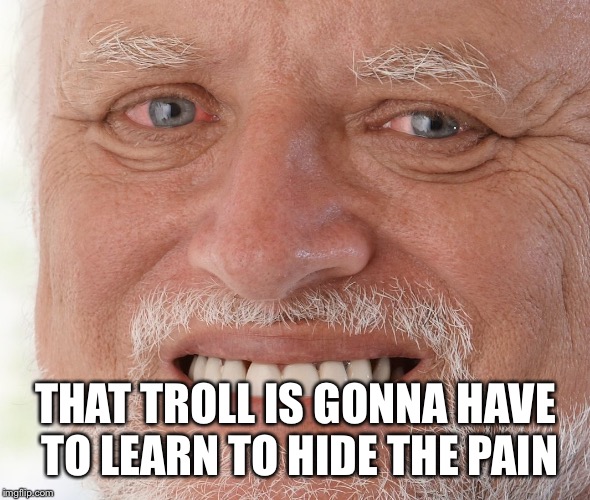 Hide the Pain Harold | THAT TROLL IS GONNA HAVE TO LEARN TO HIDE THE PAIN | image tagged in hide the pain harold | made w/ Imgflip meme maker
