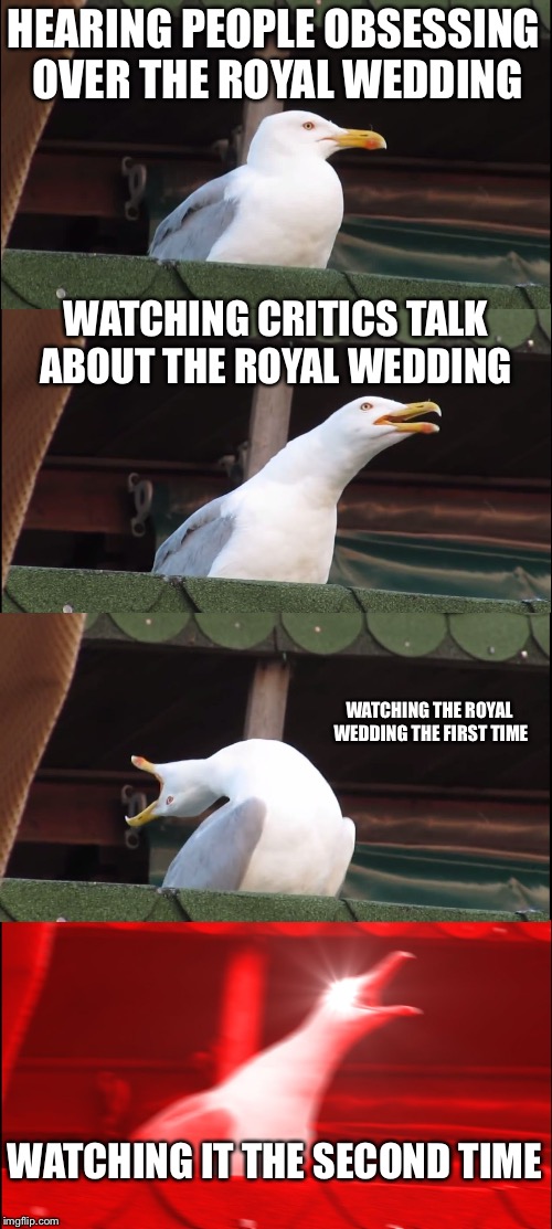 Inhaling Seagull Meme | HEARING PEOPLE OBSESSING OVER THE ROYAL WEDDING WATCHING CRITICS TALK ABOUT THE ROYAL WEDDING WATCHING THE ROYAL WEDDING THE FIRST TIME WATC | image tagged in memes,inhaling seagull | made w/ Imgflip meme maker