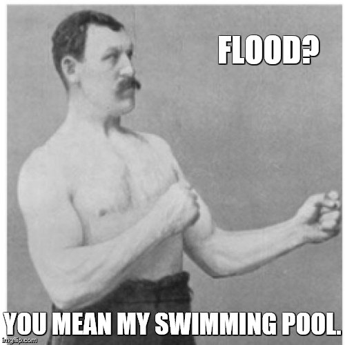 Overly Manly Man Meme | FLOOD? YOU MEAN MY SWIMMING POOL. | image tagged in memes,overly manly man | made w/ Imgflip meme maker