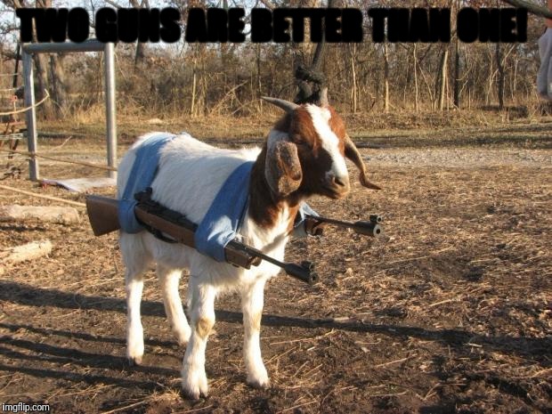 Call of Duty Goat | TWO GUNS ARE BETTER THAN ONE! | image tagged in call of duty goat | made w/ Imgflip meme maker