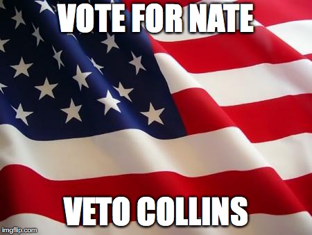 American flag | VOTE FOR NATE; VETO COLLINS | image tagged in american flag | made w/ Imgflip meme maker