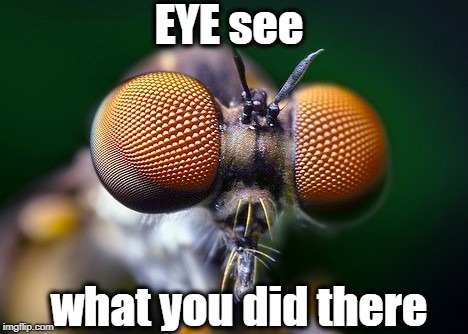 EYE see what you did there | made w/ Imgflip meme maker