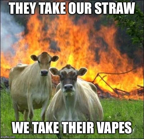Evil Cows Meme | THEY TAKE OUR STRAW; WE TAKE THEIR VAPES | image tagged in memes,evil cows | made w/ Imgflip meme maker