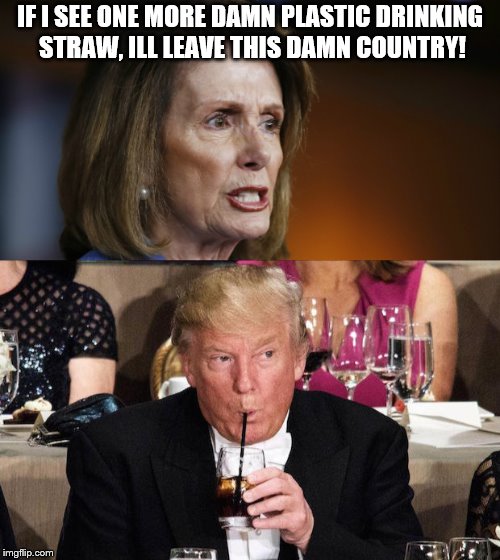 IF I SEE ONE MORE DAMN PLASTIC DRINKING STRAW, ILL LEAVE THIS DAMN COUNTRY! | made w/ Imgflip meme maker