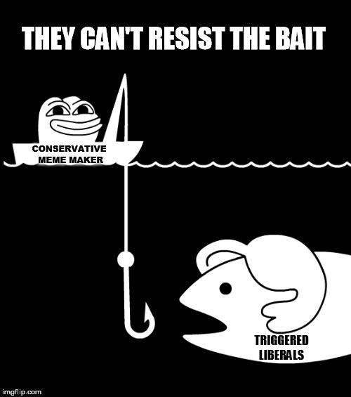 THEY CAN'T RESIST THE BAIT; CONSERVATIVE MEME MAKER; TRIGGERED LIBERALS | image tagged in liberals,liberal logic,stupid liberals,libtards,triggered liberal | made w/ Imgflip meme maker