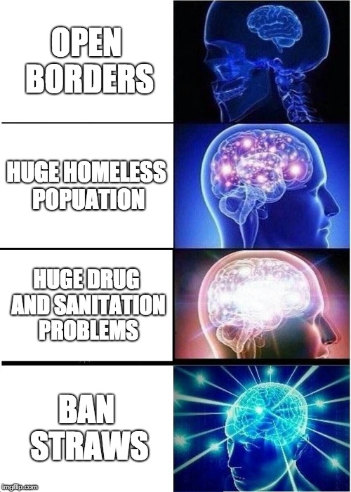 Expanding Brain Meme | OPEN BORDERS; HUGE HOMELESS POPUATION; HUGE DRUG AND SANITATION PROBLEMS; BAN STRAWS | image tagged in memes,expanding brain | made w/ Imgflip meme maker