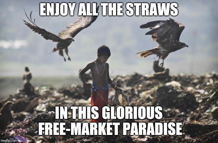 Libertarian Paradise is calling |  ENJOY ALL THE STRAWS; IN THIS GLORIOUS FREE-MARKET PARADISE | image tagged in paradise,free market,straws | made w/ Imgflip meme maker