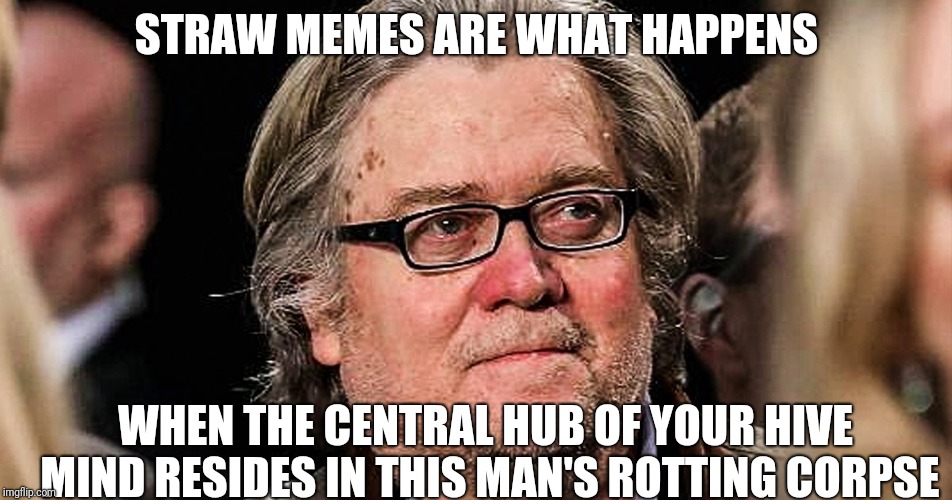 How they really started | STRAW MEMES ARE WHAT HAPPENS; WHEN THE CENTRAL HUB OF YOUR HIVE MIND RESIDES IN THIS MAN'S ROTTING CORPSE | image tagged in steve bannon,straws,brain | made w/ Imgflip meme maker
