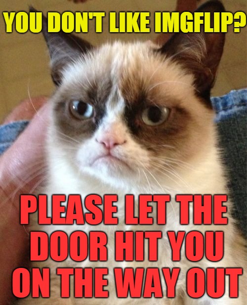 Watch my “Meme-Sync”!  Link in the comments!  A first from the Clinkster memeverse. | YOU DON'T LIKE IMGFLIP? PLEASE LET THE DOOR HIT YOU ON THE WAY OUT | image tagged in memes,grumpy cat,memeverse,memesync | made w/ Imgflip meme maker