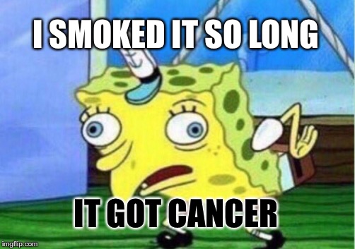 Mocking Spongebob Meme | I SMOKED IT SO LONG IT GOT CANCER | image tagged in memes,mocking spongebob | made w/ Imgflip meme maker