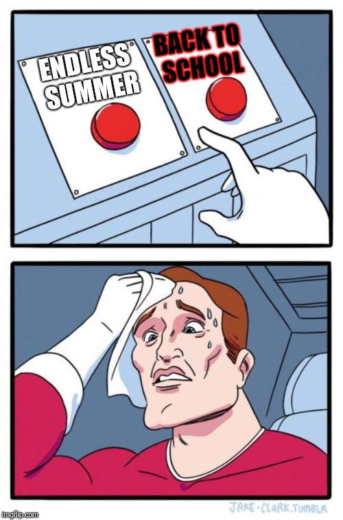 Two Buttons Meme | BACK TO SCHOOL; ENDLESS SUMMER | image tagged in memes,two buttons,back to school,summer vacation | made w/ Imgflip meme maker