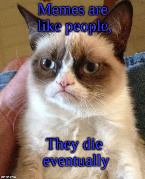 Life Is Short, SO GO JUMP OUT OF AN AIRPLANE WITHOUT A PARACHUTE ON, YAY!!!  | Memes are like people, They die eventually | image tagged in grumpy cat | made w/ Imgflip meme maker