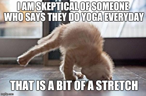 yoga kitty | I AM SKEPTICAL OF SOMEONE WHO SAYS THEY DO YOGA EVERYDAY; THAT IS A BIT OF A STRETCH | image tagged in yoga kitty | made w/ Imgflip meme maker