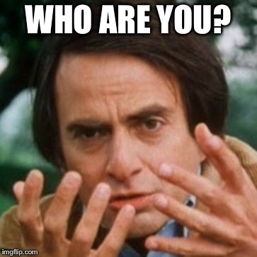 Carl Sagan Billions | WHO ARE YOU? | image tagged in carl sagan billions | made w/ Imgflip meme maker
