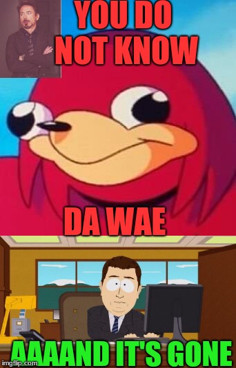 There. Someone had to do it. | YOU DO NOT KNOW; DA WAE; AAAAND IT'S GONE | image tagged in uganda knuckles,face you make robert downey jr,aaaaand its gone | made w/ Imgflip meme maker