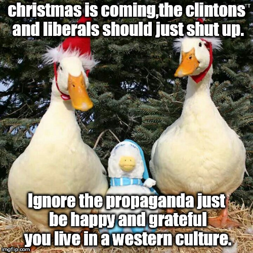 ducks in christmas hats telling us to be happy and grateful we live in  a western culture. | christmas is coming,the clintons and liberals should just shut up. Ignore the propaganda just be happy and grateful you live in a western culture. | image tagged in ducks christmas hats,be happy,ignore the propaganda | made w/ Imgflip meme maker