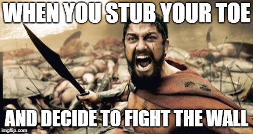 Sparta Leonidas Meme | WHEN YOU STUB YOUR TOE; AND DECIDE TO FIGHT THE WALL | image tagged in memes,sparta leonidas | made w/ Imgflip meme maker