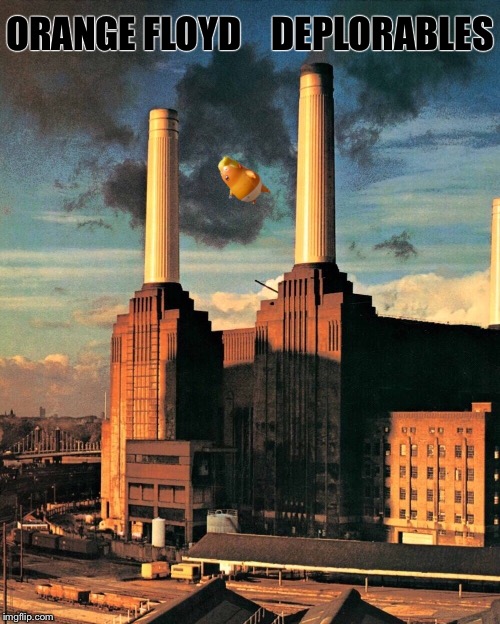 One for Bad Album Art Week, July 29th- August 4th, an Ilikepie3.14159265358979 & KenJ celebration! | ORANGE FLOYD    DEPLORABLES | image tagged in pink floyd,animals,donald trump,balloon,funny memes | made w/ Imgflip meme maker