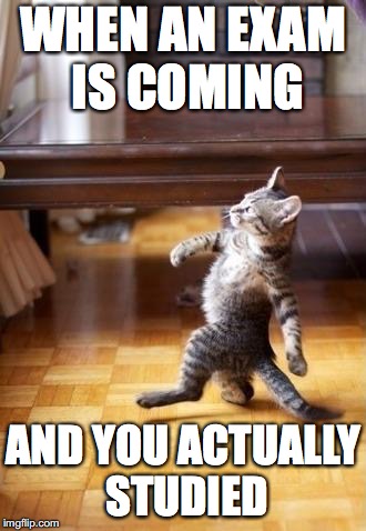 Cool Cat Stroll Meme | WHEN AN EXAM IS COMING; AND YOU ACTUALLY STUDIED | image tagged in memes,cool cat stroll | made w/ Imgflip meme maker