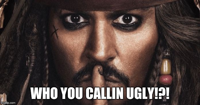 WHO YOU CALLIN UGLY!?! | image tagged in who are you calling ugly | made w/ Imgflip meme maker