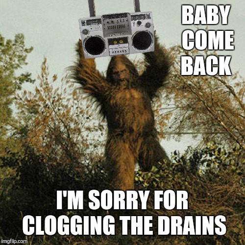 It almost syncs up to the lyrics  | BABY COME BACK; I'M SORRY FOR CLOGGING THE DRAINS | image tagged in memes,sasquatch,messing with sasquatch,baby come back,say anything | made w/ Imgflip meme maker