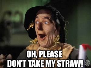 It starts with straws.  Fascism is coming for you next.  | OH, PLEASE; DON’T TAKE MY STRAW! | image tagged in straw man,straws,straw,california,democrats,global warming | made w/ Imgflip meme maker