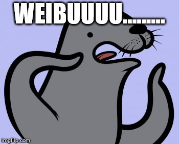 Homophobic Seal | WEIBUUUU......... | image tagged in memes,homophobic seal | made w/ Imgflip meme maker