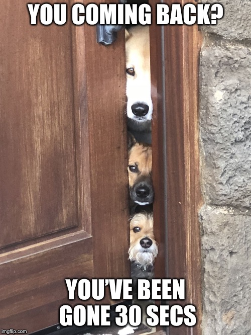 YOU COMING BACK? YOU’VE BEEN GONE 30 SECS | image tagged in you coming back | made w/ Imgflip meme maker