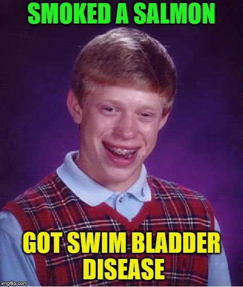 Bad Luck Brian Meme | SMOKED A SALMON GOT SWIM BLADDER DISEASE | image tagged in memes,bad luck brian | made w/ Imgflip meme maker