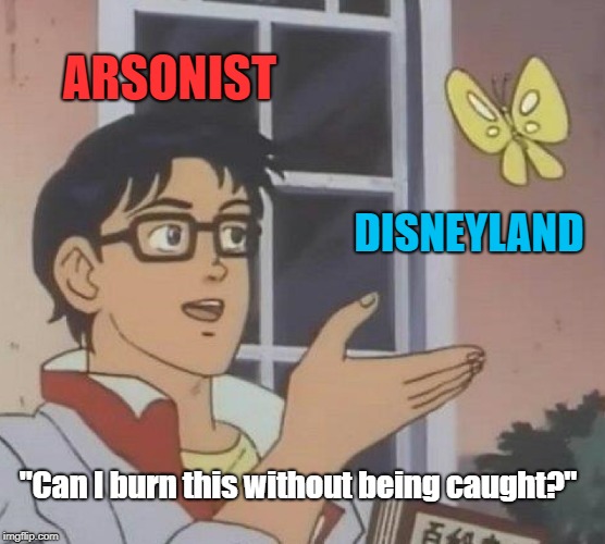 Is This A Pigeon Meme | ARSONIST; DISNEYLAND; "Can I burn this without being caught?" | image tagged in memes,is this a pigeon | made w/ Imgflip meme maker