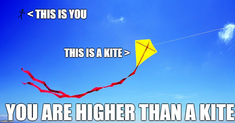 < THIS IS YOU; THIS IS A KITE >; YOU ARE HIGHER THAN A KITE | image tagged in high,higher than a kite,kite,you are high,you must be high | made w/ Imgflip meme maker