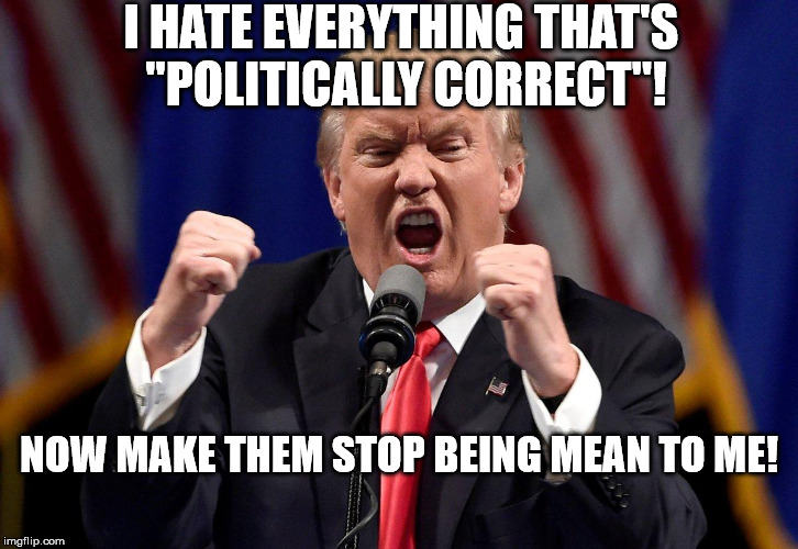 Now he wants us to be civil? | I HATE EVERYTHING THAT'S "POLITICALLY CORRECT"! NOW MAKE THEM STOP BEING MEAN TO ME! | image tagged in angry donald trump,civility,pc,political correctness | made w/ Imgflip meme maker
