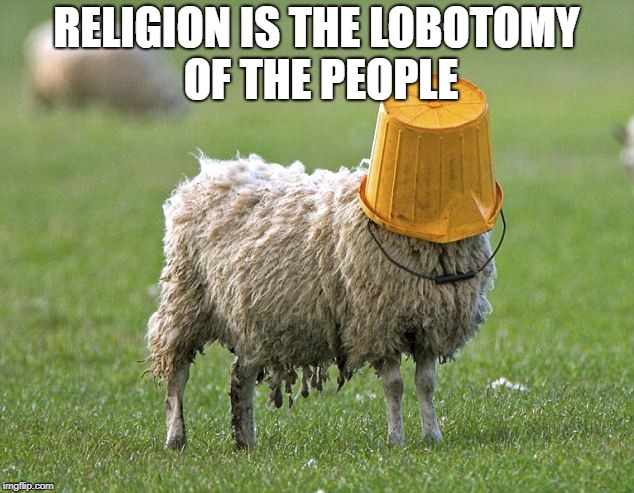 stupid sheep | RELIGION IS THE LOBOTOMY OF THE PEOPLE | image tagged in stupid sheep | made w/ Imgflip meme maker