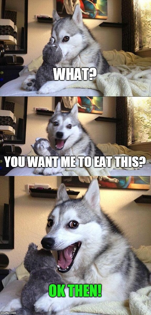 Bad Pun Dog Meme | WHAT? YOU WANT ME TO EAT THIS? OK THEN! | image tagged in memes,bad pun dog | made w/ Imgflip meme maker