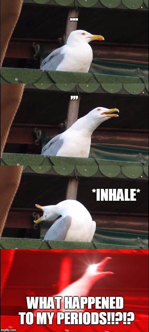 Inhaling Seagull | ... ,,, *INHALE*; WHAT HAPPENED TO MY PERIODS!!?!? | image tagged in memes,inhaling seagull | made w/ Imgflip meme maker