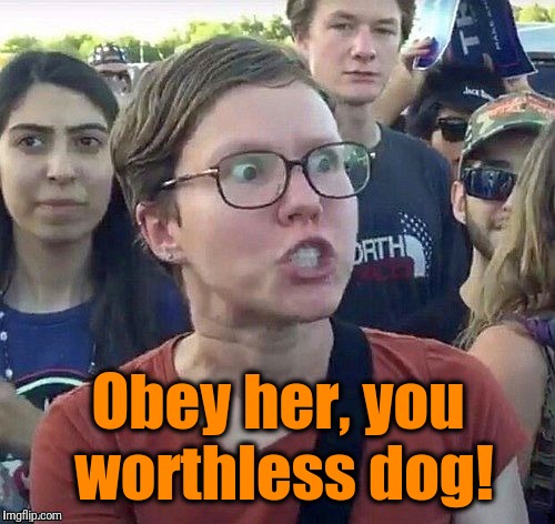 foggy | Obey her, you worthless dog! | image tagged in triggered feminist | made w/ Imgflip meme maker