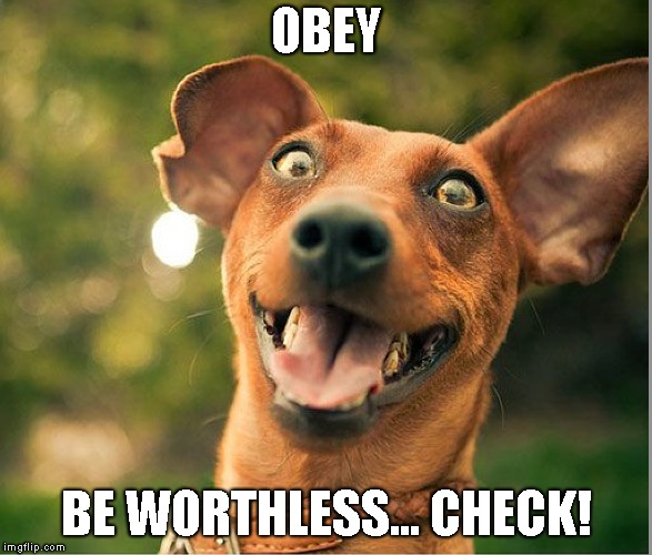 OBEY BE WORTHLESS... CHECK! | made w/ Imgflip meme maker