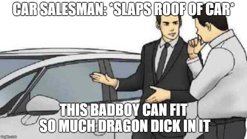 Car Salesman Slaps Roof Of Car Meme | CAR SALESMAN: *SLAPS ROOF OF CAR*; THIS BADBOY CAN FIT SO MUCH DRAGON DICK IN IT | image tagged in car salesman | made w/ Imgflip meme maker