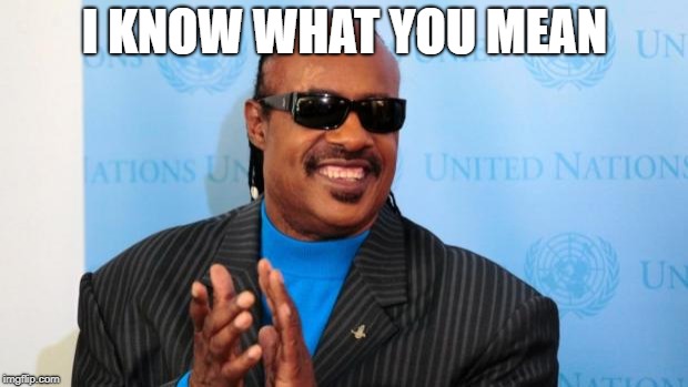 stevie wonder | I KNOW WHAT YOU MEAN | image tagged in stevie wonder | made w/ Imgflip meme maker