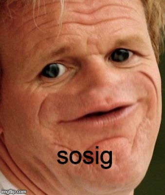 The Gordon Ramsey | sosig | image tagged in the gordon ramsey | made w/ Imgflip meme maker